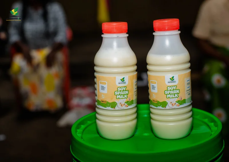 Soy Milk